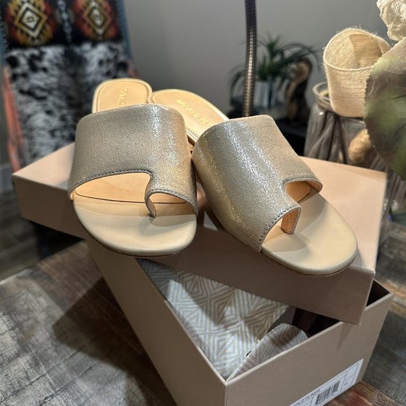 Donald Pliner Melros Slide Sandal "Platino" color Sz 9 - New In Box - Picture 1 of 5